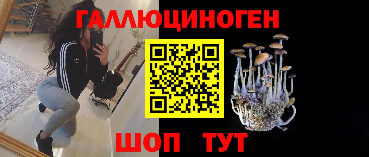 Галлюциногенные грибы Psilocybine cubensis Лосино-Петровский