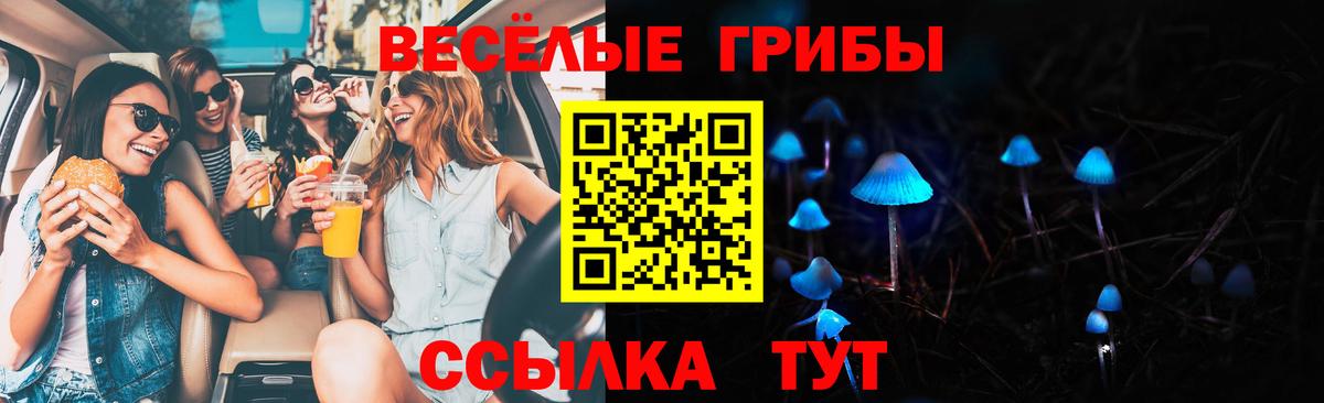 Лосино-Петровский  Галлюциногенные грибы Magic Shrooms  Вход с VPN 